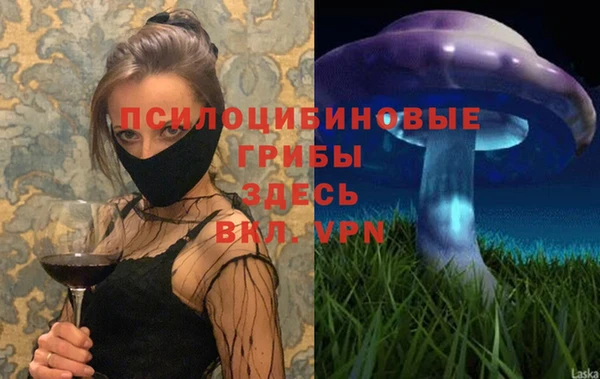 тгк Аркадак