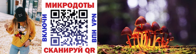 Псилоцибиновые грибы Magic Shrooms  магазин продажи   Краснотурьинск 