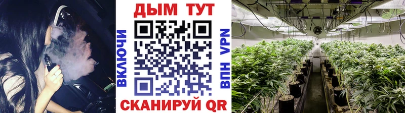 Бошки Шишки Amnesia  Краснотурьинск 